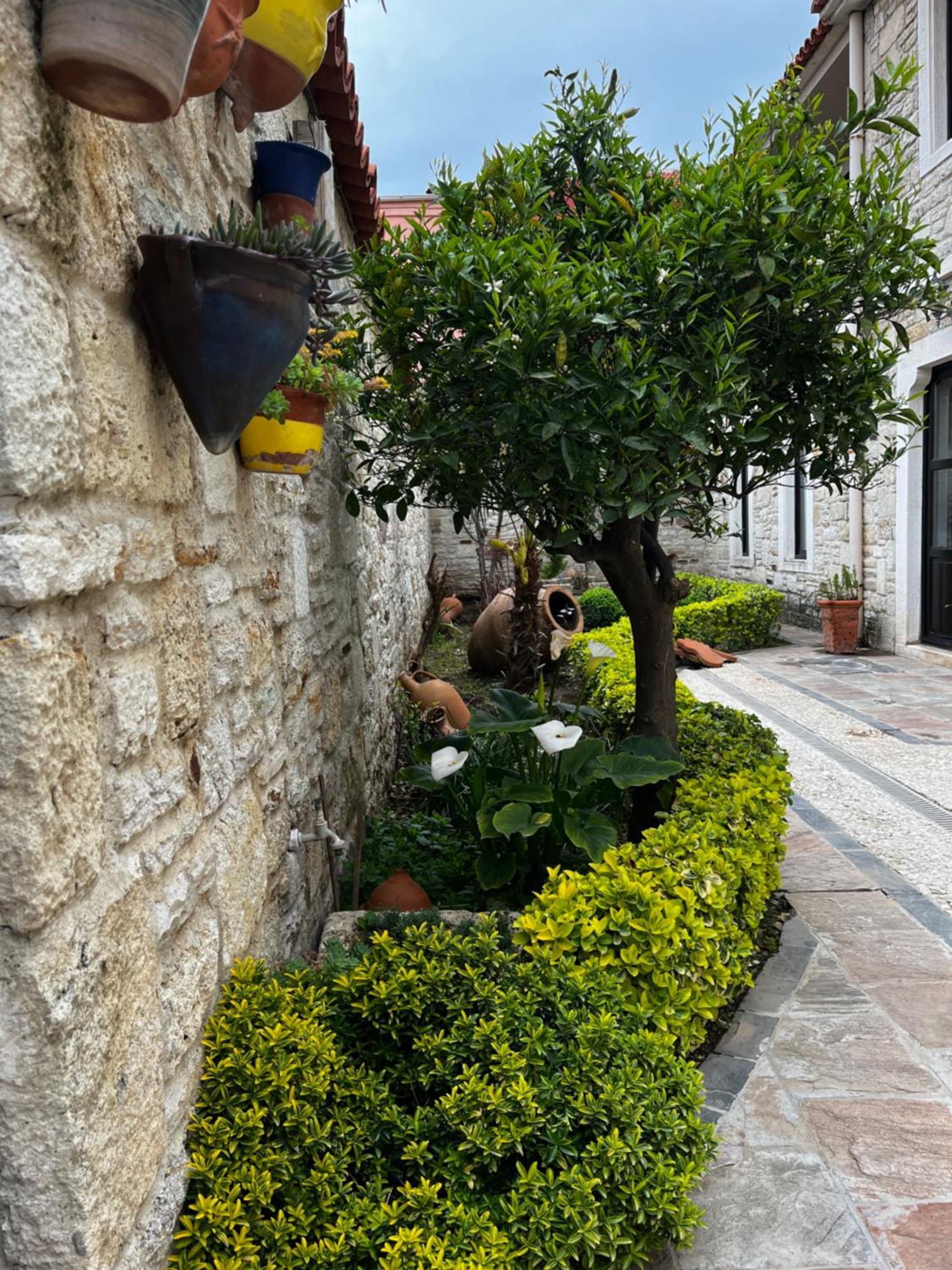 Griffon Hotel Yenifoca Extérieur photo